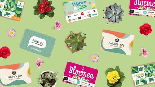 Dit zijn de 5 beste plantenbonnen van dit moment!